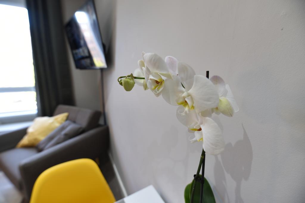 Meadowbank House Luxury Apartment 에든버러 외부 사진